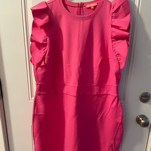 NWT pink dress from QVC. Size XL and runs like an 18 plus size.